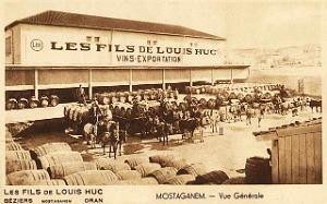 Mostaganem 515